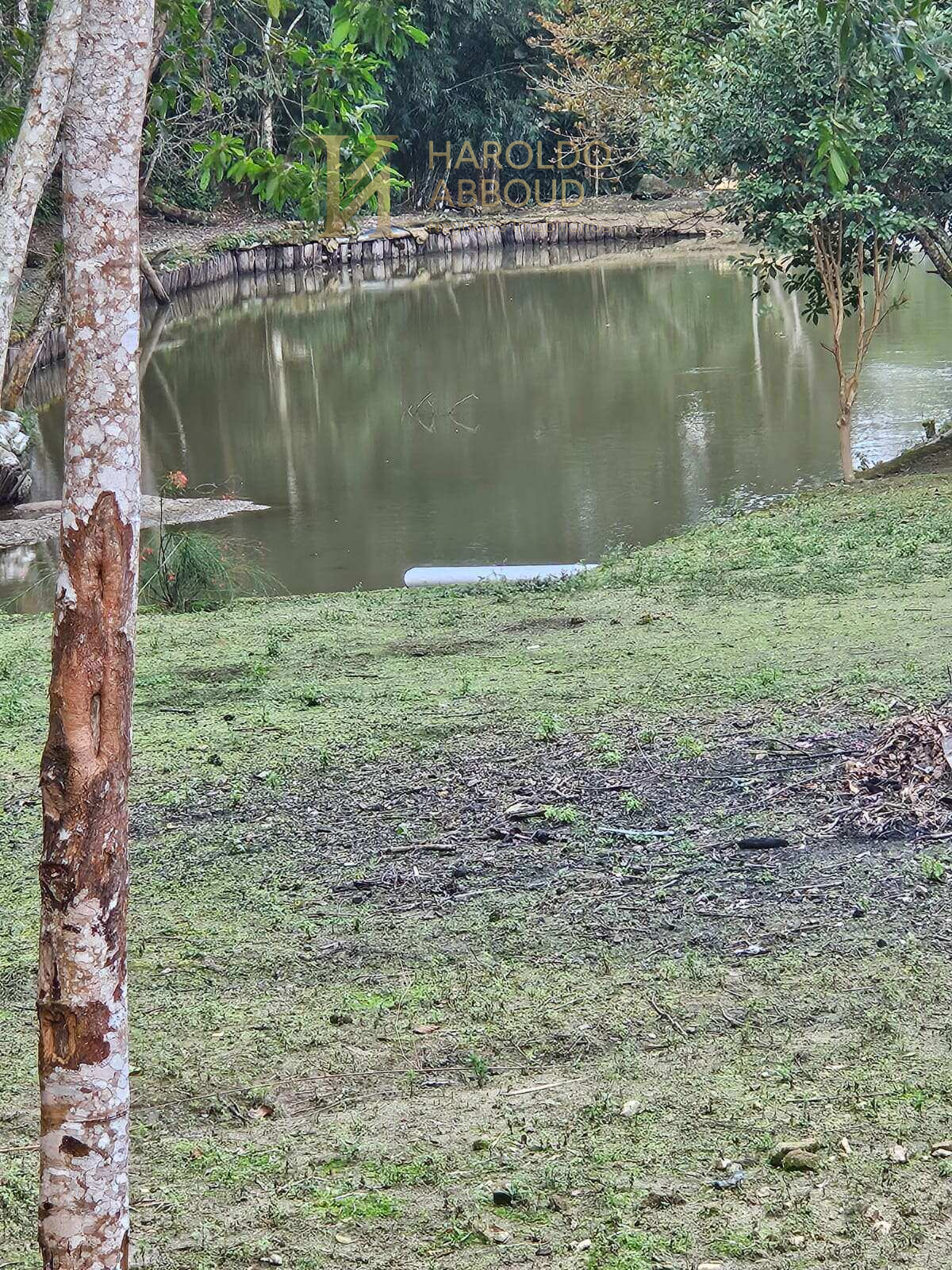 Sítio à venda com 2 quartos - Bairrinho,São Luiz do Paraitinga