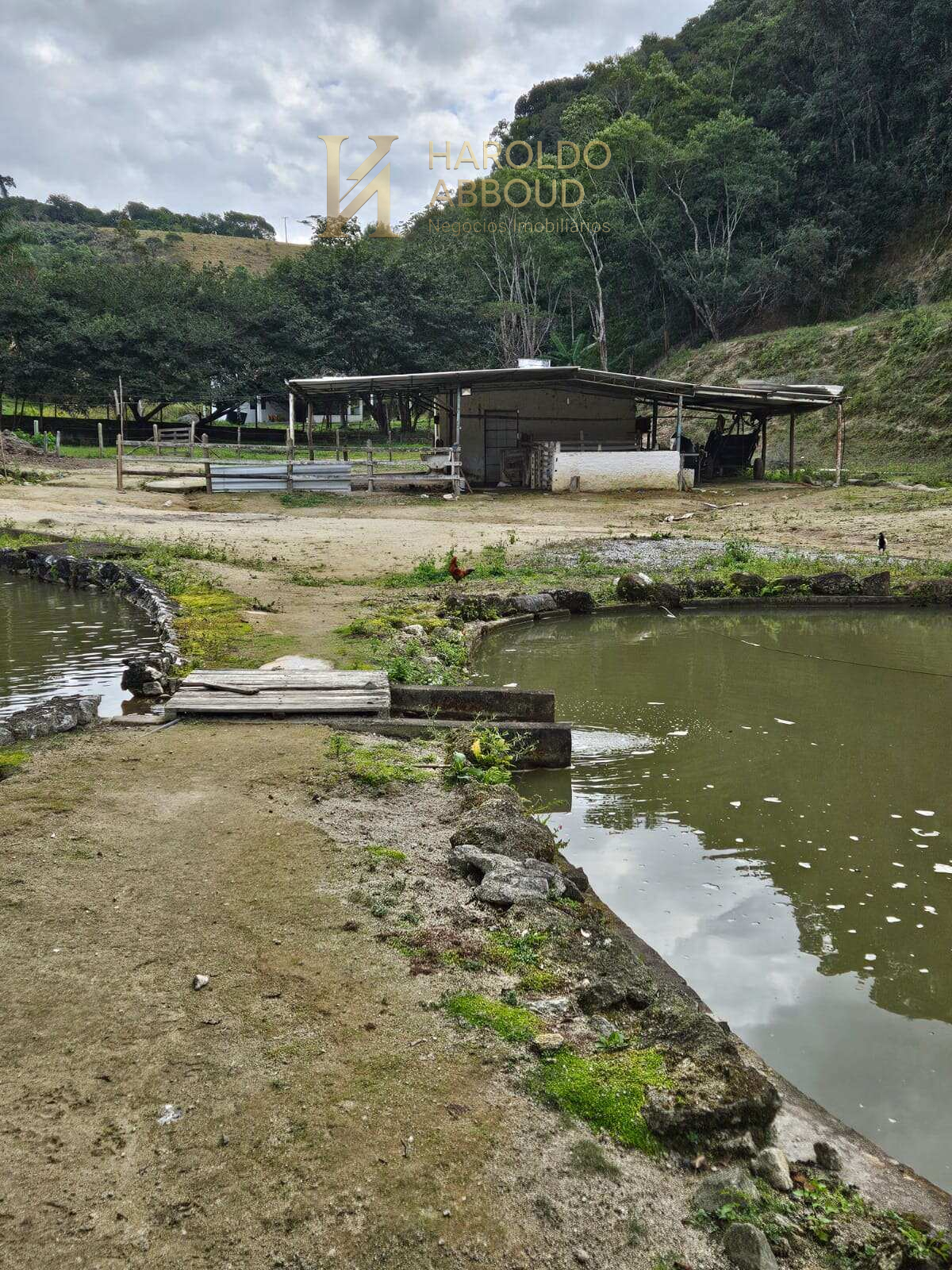 Sítio à venda com 2 quartos - Bairrinho,São Luiz do Paraitinga