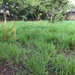 Terreno em Condomínio à venda - TREMENBÉ,Taubaté